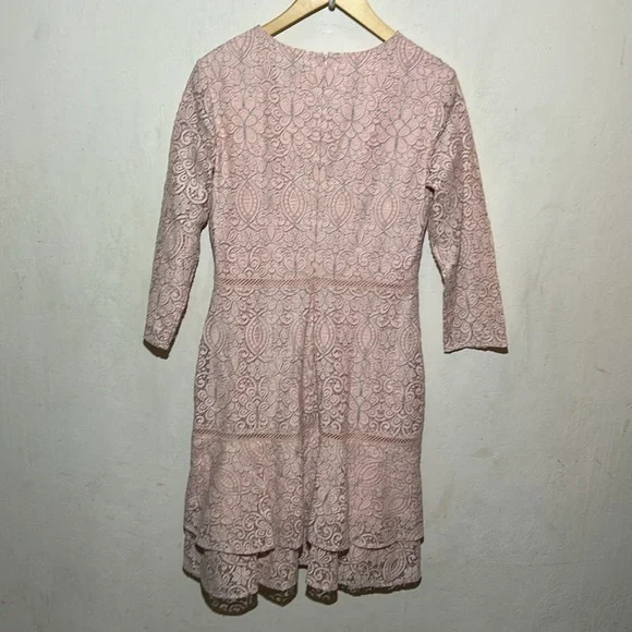 Lauren Ralph Lauren Lace Pink/Black Drop-Waist Dress Size 4 NWT